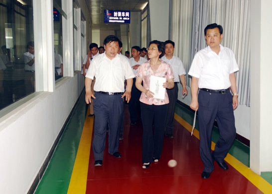 ，濟(jì)寧市政府副市長陳穎率市科技進(jìn)步考核組來汶上縣考核2009—2010年度科技進(jìn)步工作