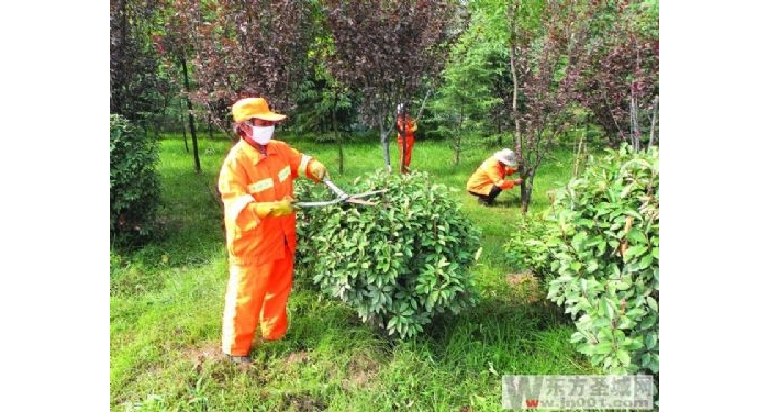 汶上公路局對公路兩側(cè)綠化帶進行全面整治 喜迎2012國慶中秋雙節(jié)
