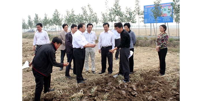山東省農(nóng)廳副廳長王登啟來汶上縣檢查指導“三秋”生產(chǎn)工作