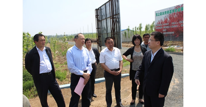 侯典峰陪同林兆謙到縣蘆花雞協(xié)會、義橋鎮(zhèn)苗木基地實地檢查指導(dǎo)