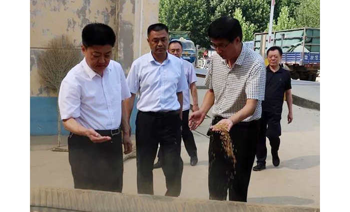 汶上縣人民政府 政務(wù)要聞 縣委常委、副縣長王洪正督導(dǎo)檢查夏糧收購工作