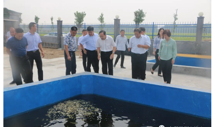 省國資委黨委委員、副主任，機關黨委書記尹剛到次邱鎮(zhèn)調研指導省派鄉(xiāng)村振興服務隊工作
